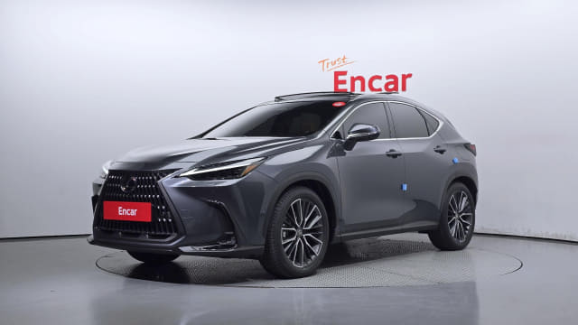 2024 LEXUS NX