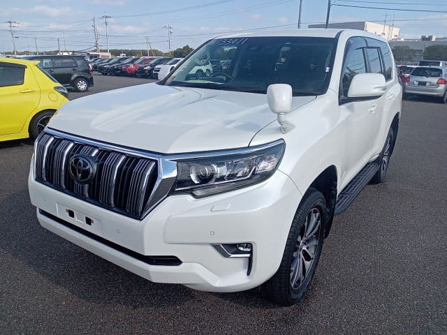 2019 TOYOTA Land Cruiser Prado