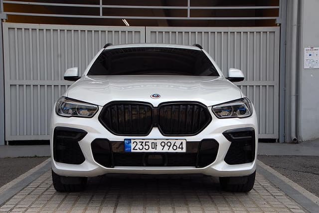 2023 BMW X6