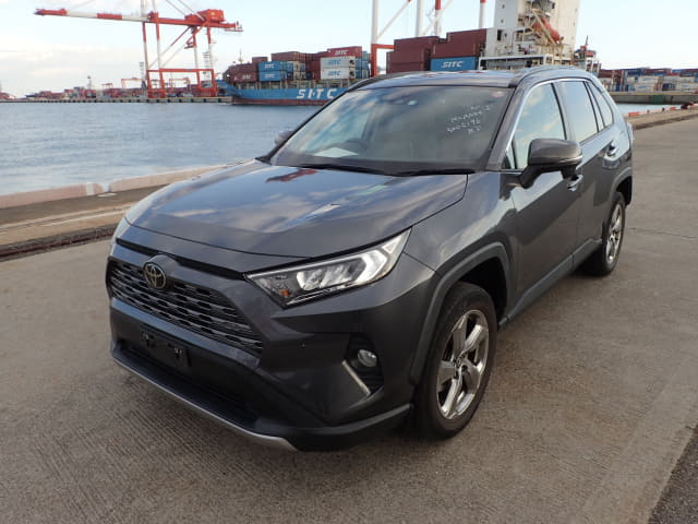 2019 TOYOTA RAV4