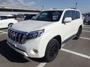 2017 TOYOTA Land Cruiser Prado