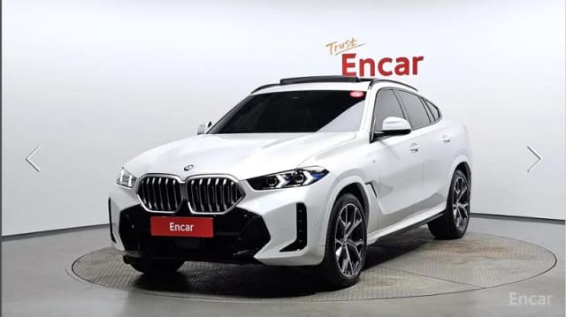 2024 BMW X6