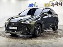 2024 LEXUS NX