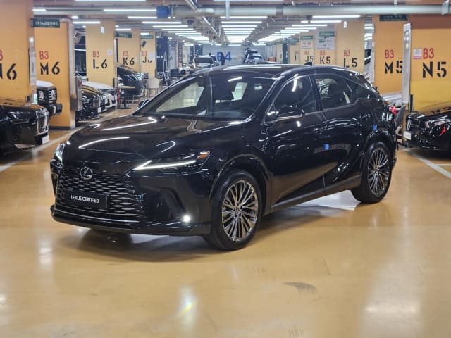 2024 LEXUS RX