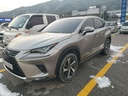 2019 LEXUS NX