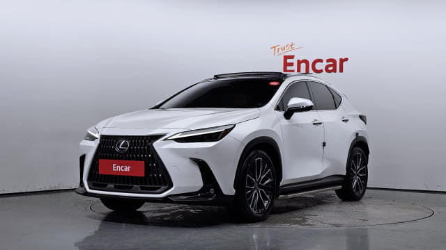 2024 LEXUS NX