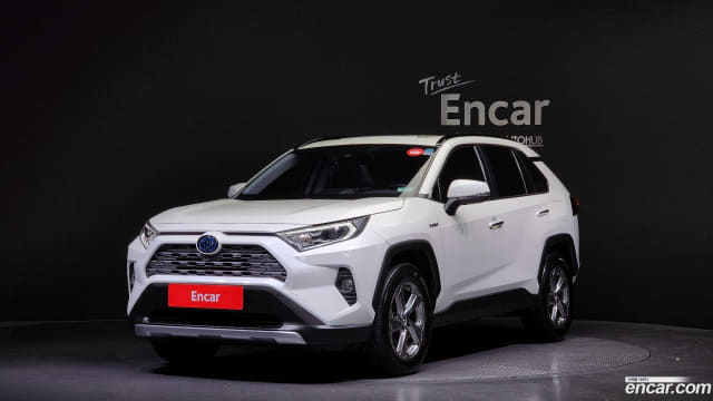 2019 TOYOTA RAV4