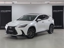 2025 LEXUS NX