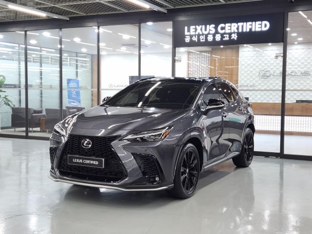 2025 LEXUS NX