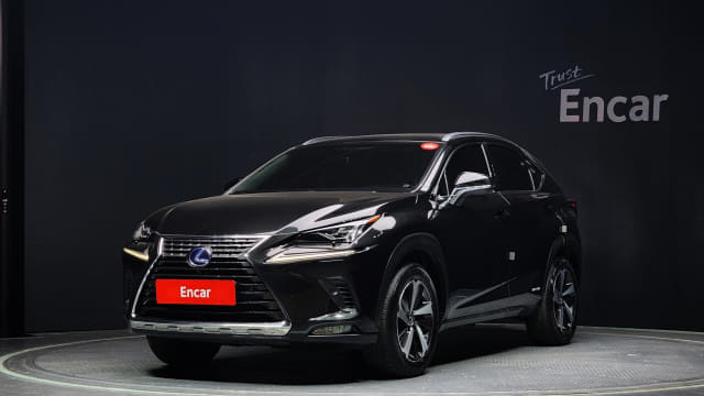 2018 LEXUS NX