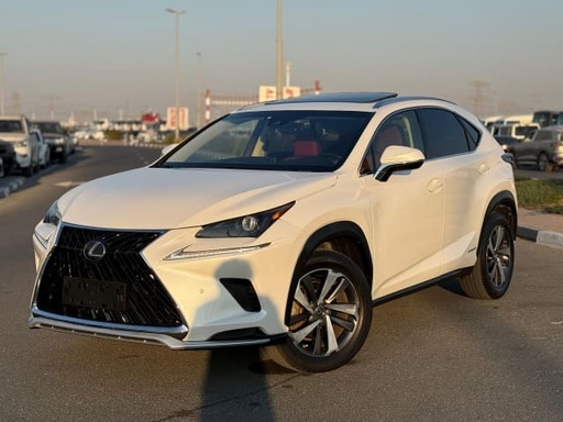 2020 LEXUS NX
