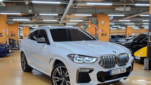 2021 BMW X6