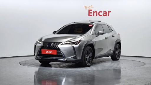 2019 LEXUS UX