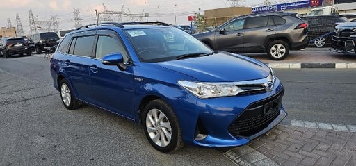 2019 TOYOTA Corolla Fielder