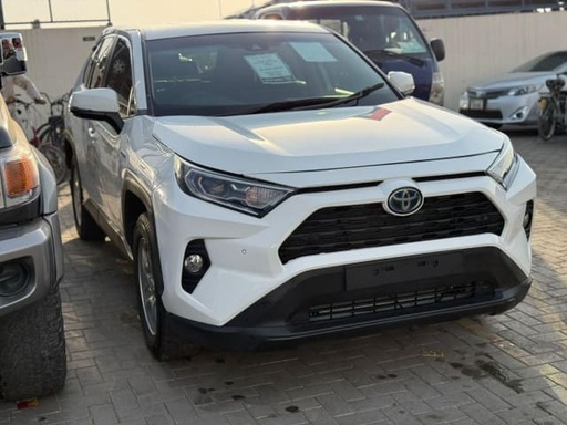 2019 TOYOTA RAV4