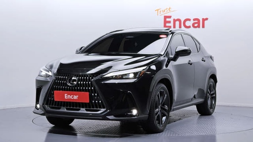 2025 LEXUS NX