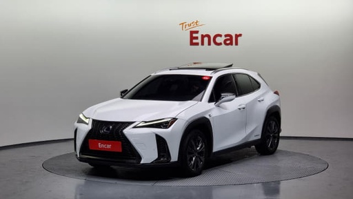 2020 LEXUS UX, 