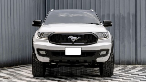 2019 FORD EVEREST