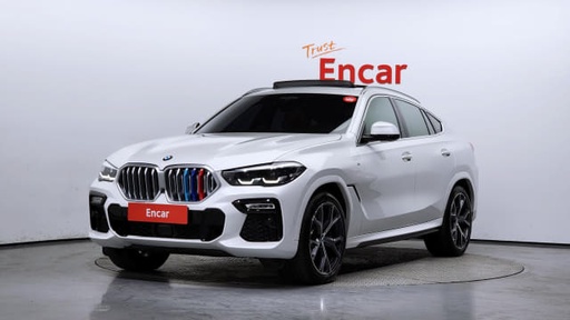 2020 BMW X6
