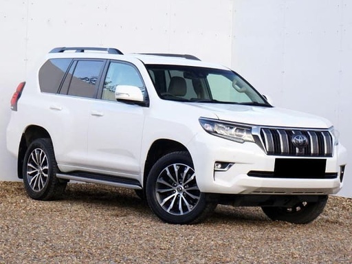 2019 TOYOTA Land Cruiser