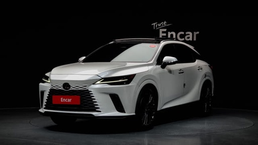 2023 LEXUS RX, 