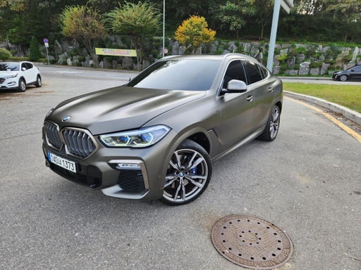 2021 BMW X6