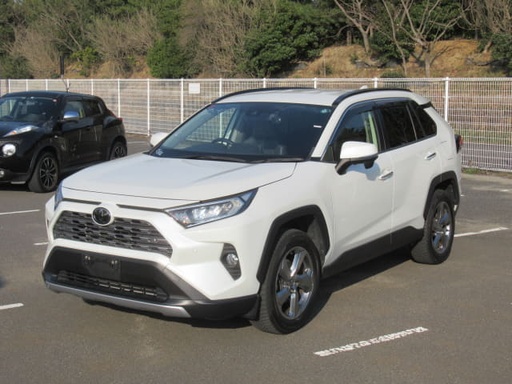 2019 TOYOTA RAV4