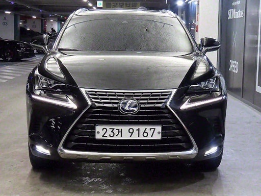 2019 LEXUS NX, 