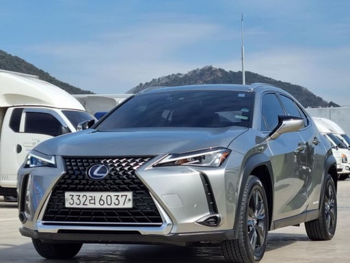 2020 LEXUS UX