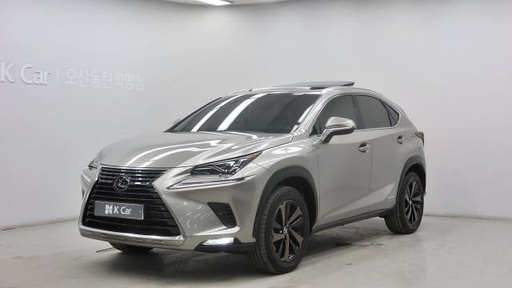 2019 LEXUS NX