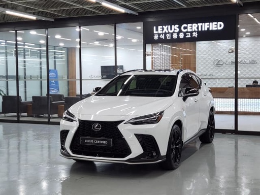 2024 LEXUS NX
