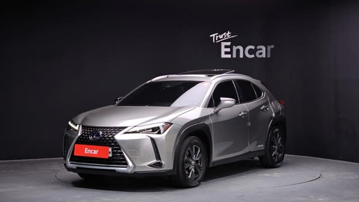 2020 LEXUS UX