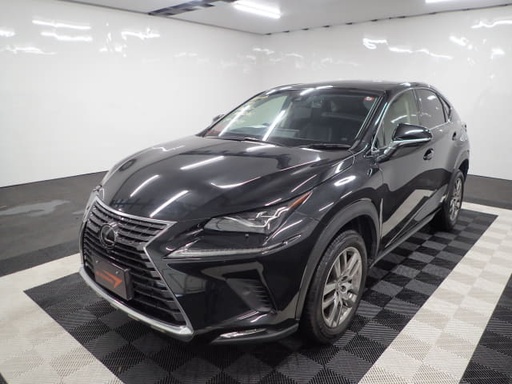 2018 LEXUS NX