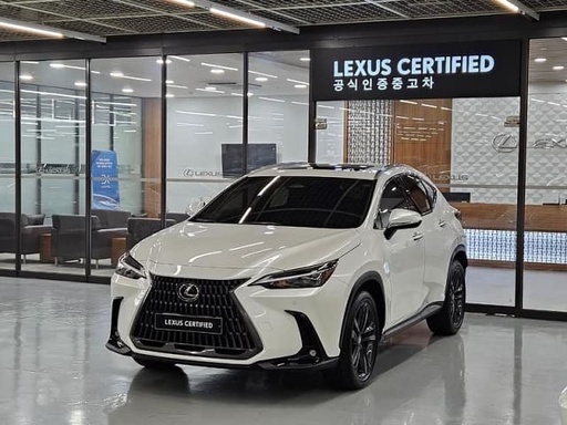 2025 LEXUS NX