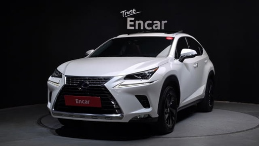 2020 LEXUS NX