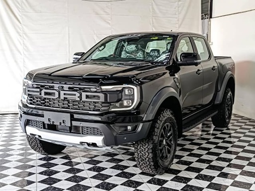 2025 FORD RAPTOR