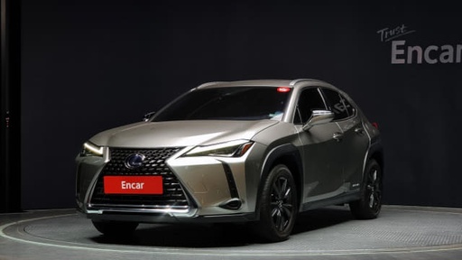 2020 LEXUS UX