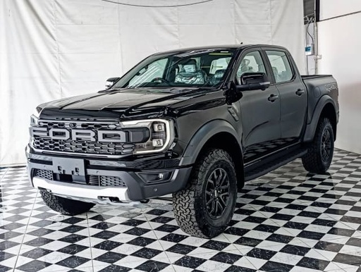 2025 FORD RAPTOR