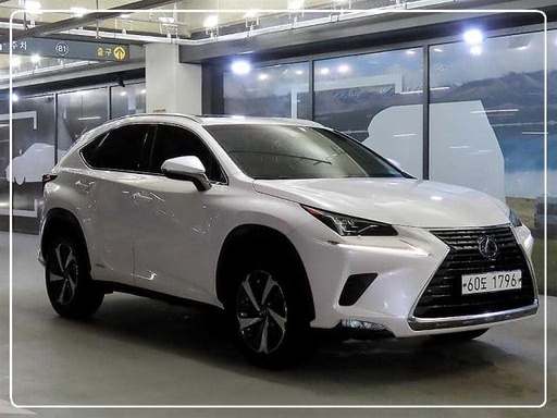 2019 LEXUS NX