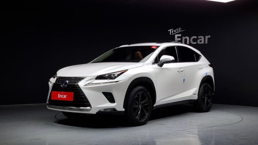 2018 LEXUS NX