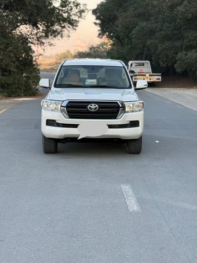 2019 TOYOTA Land Cruiser