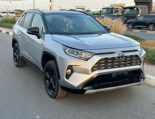 2019 TOYOTA RAV4