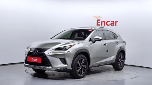 2018 LEXUS NX