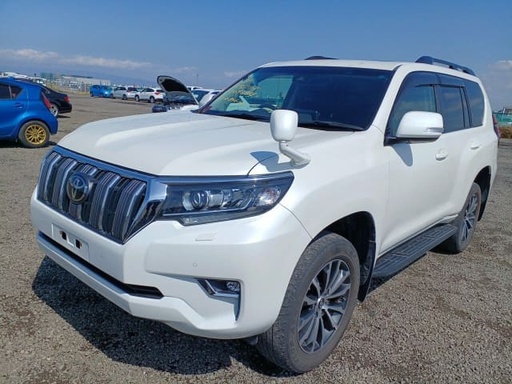 2019 TOYOTA Land Cruiser Prado