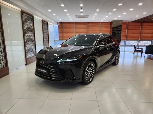 2024 LEXUS RX