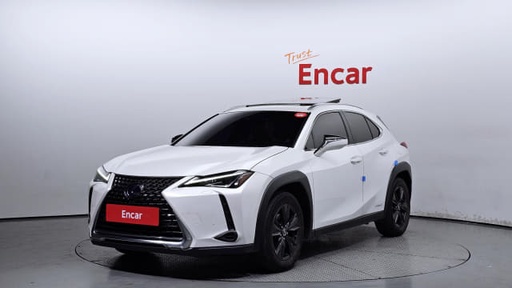 2020 LEXUS UX