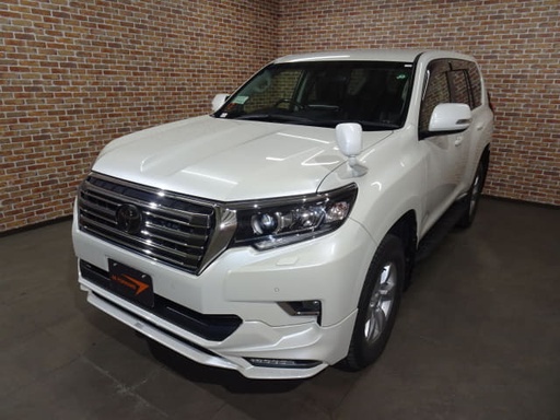 2019 TOYOTA Land Cruiser Prado