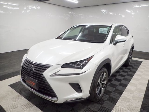 2019 LEXUS NX