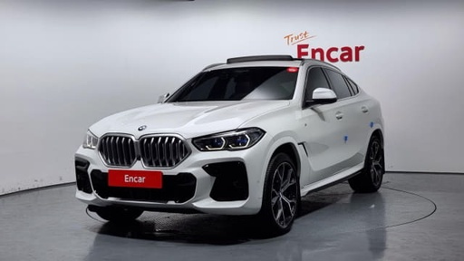 2022 BMW X6