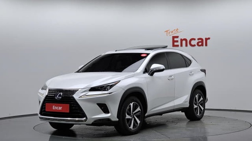 2018 LEXUS NX